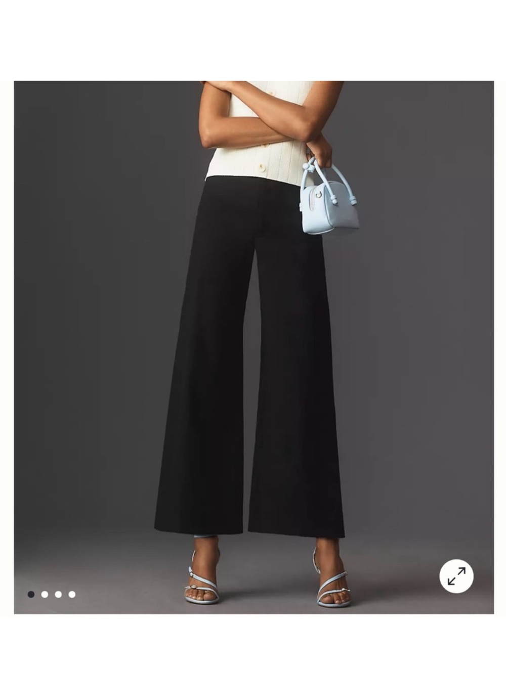Anthropologie Maeve The Ettie High Rise Wide Leg Crop Pants NWT size 29 Petite